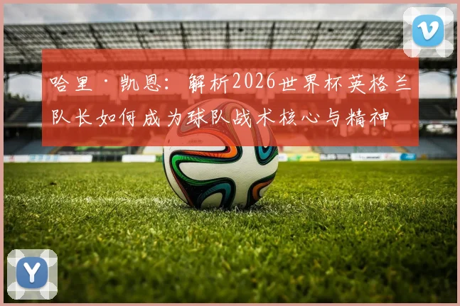 哈里·凯恩：解析2026世界杯英格兰队长如何成为球队战术核心与精神领袖