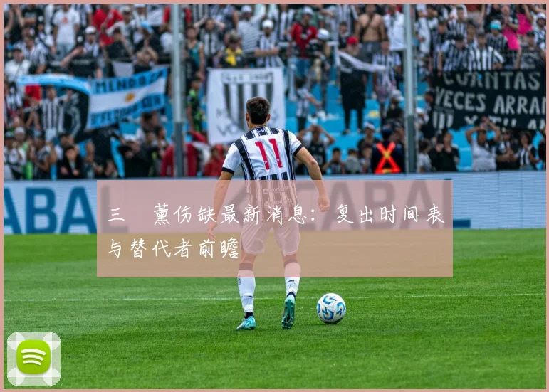 三笘薰伤缺最新消息:复出时间表与替代者前瞻
